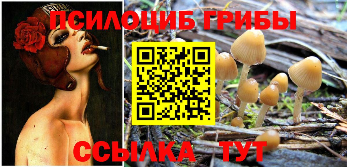 купить  цена  Вход с VPN  Гатчина  Галлюциногенные грибы MAGIC MUSHROOMS  Галлюциногенные грибы Magic Shrooms 